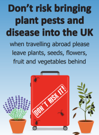 poster showing a red suit case with the words don't risk it on it. The text says Don't risk bringing plant pests and disease in to the UK when travelling aboard. Please leave, plants, seeds, flowers, fruit and vegetables behind