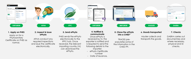 ePhyto Process Diagram