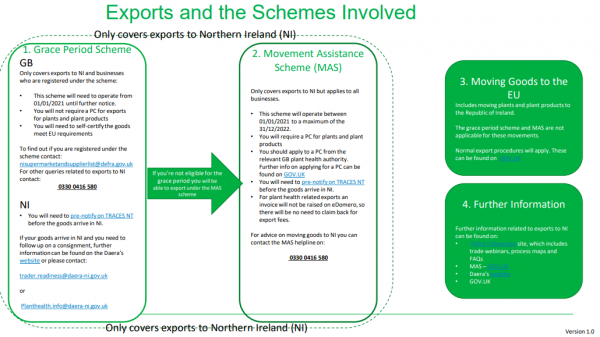 Exports and schemes involved NI