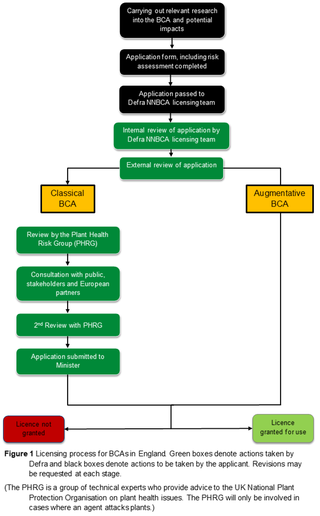 Figure 1 - licence process flowchart